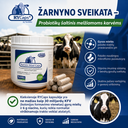 RY Caps – praradus apetitą 1